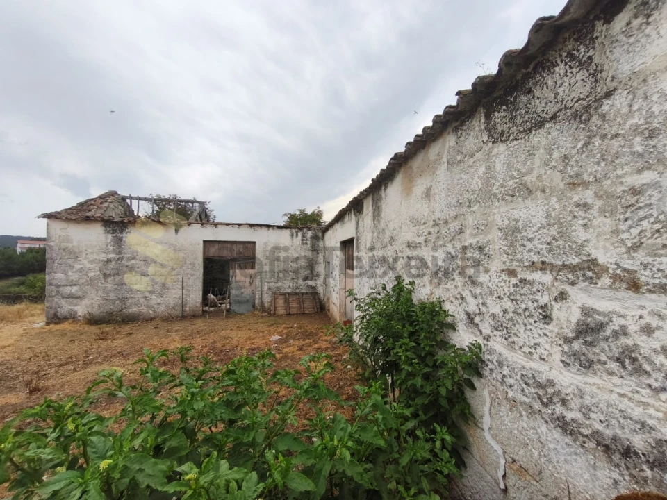 Quinta T6 para Venda em São Pedro de Agostem Foto 10