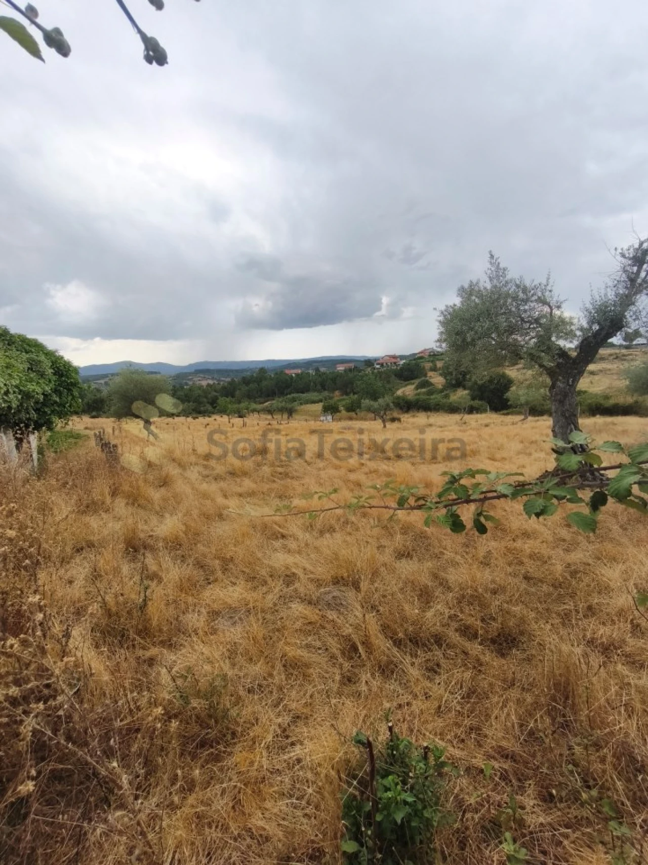 Quinta T6 para Venda em São Pedro de Agostem Foto 22