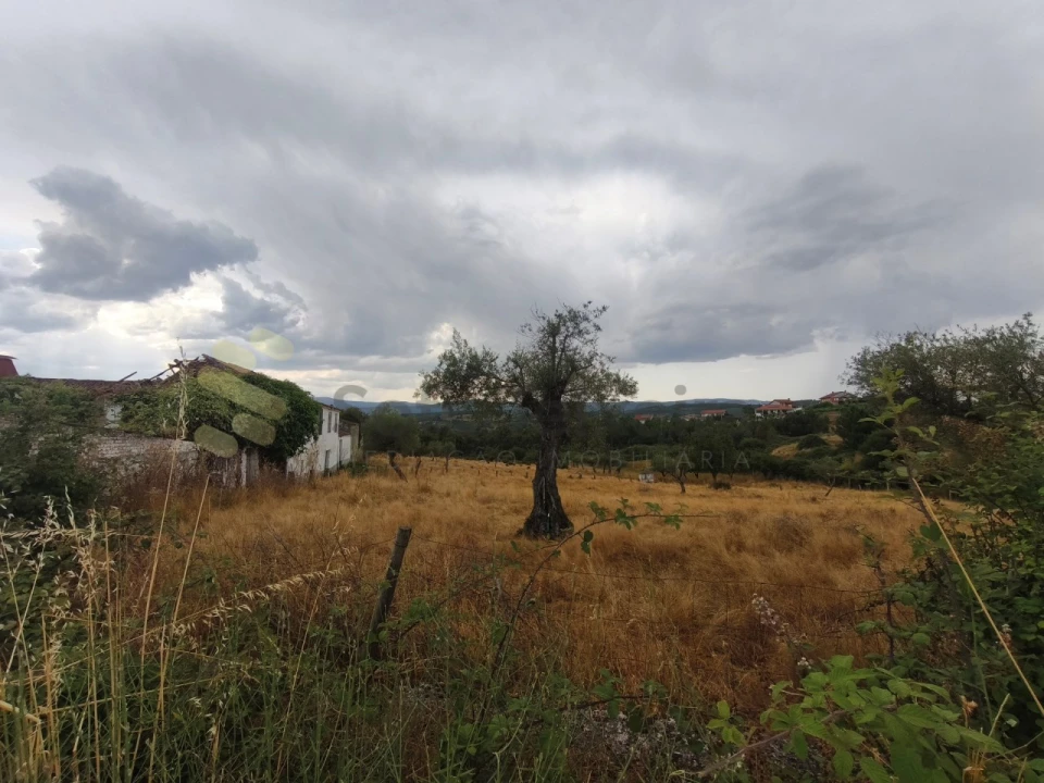 Quinta T6 para Venda em São Pedro de Agostem Foto 14