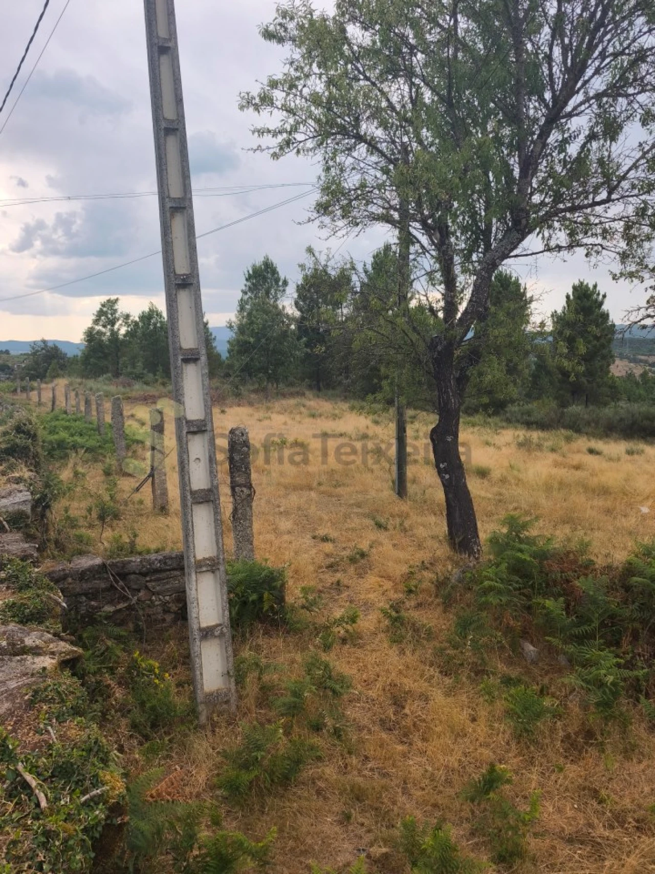 Quinta T6 para Venda em São Pedro de Agostem Foto 23
