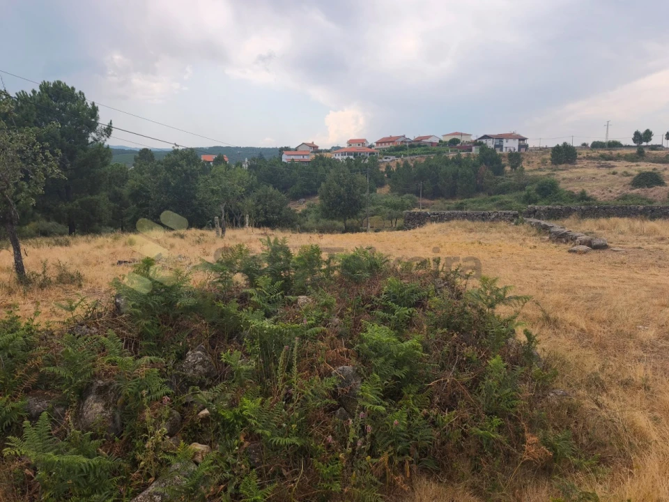 Quinta T6 para Venda em São Pedro de Agostem Foto 24