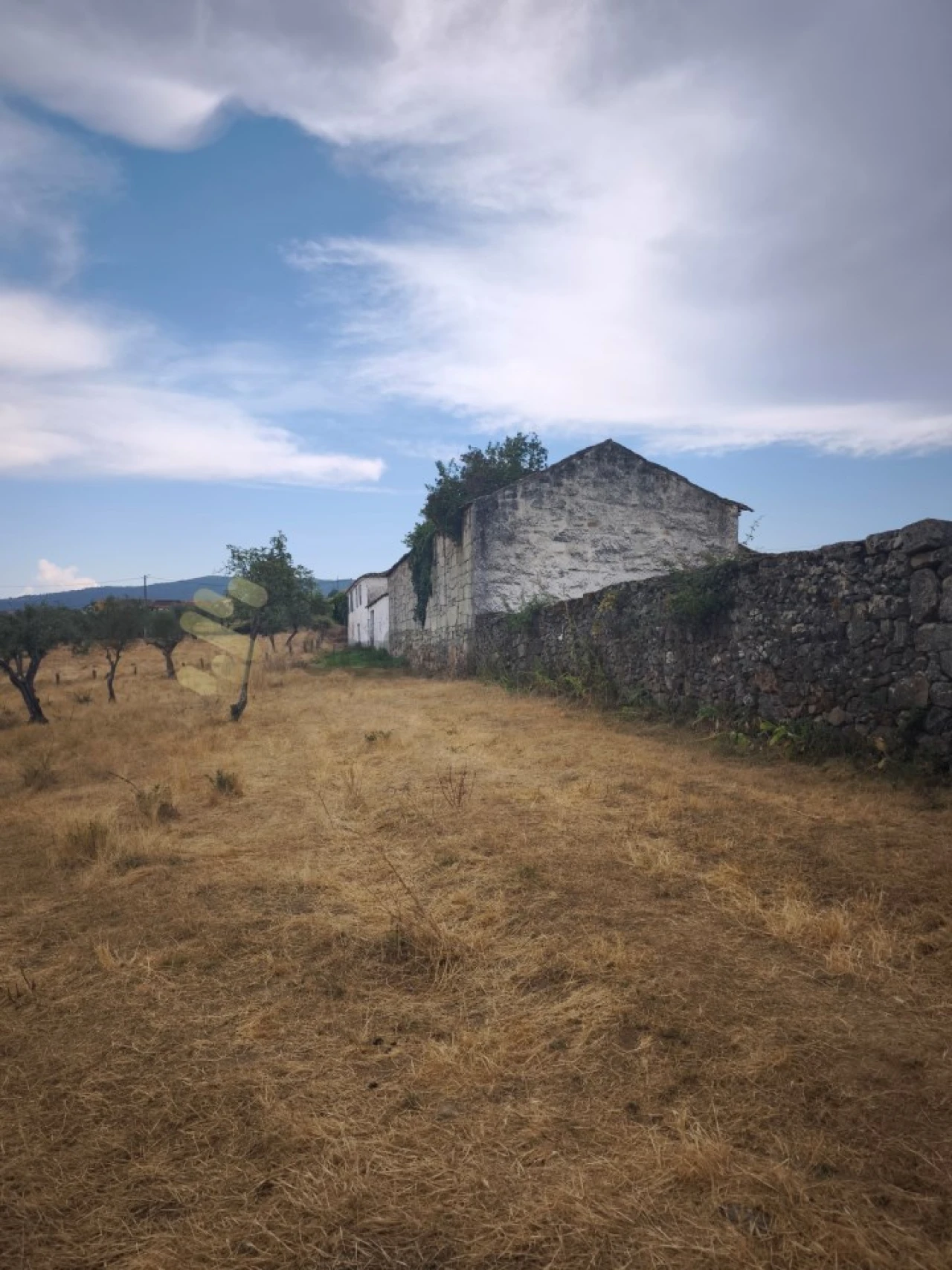Quinta T6 para Venda em São Pedro de Agostem Foto 26