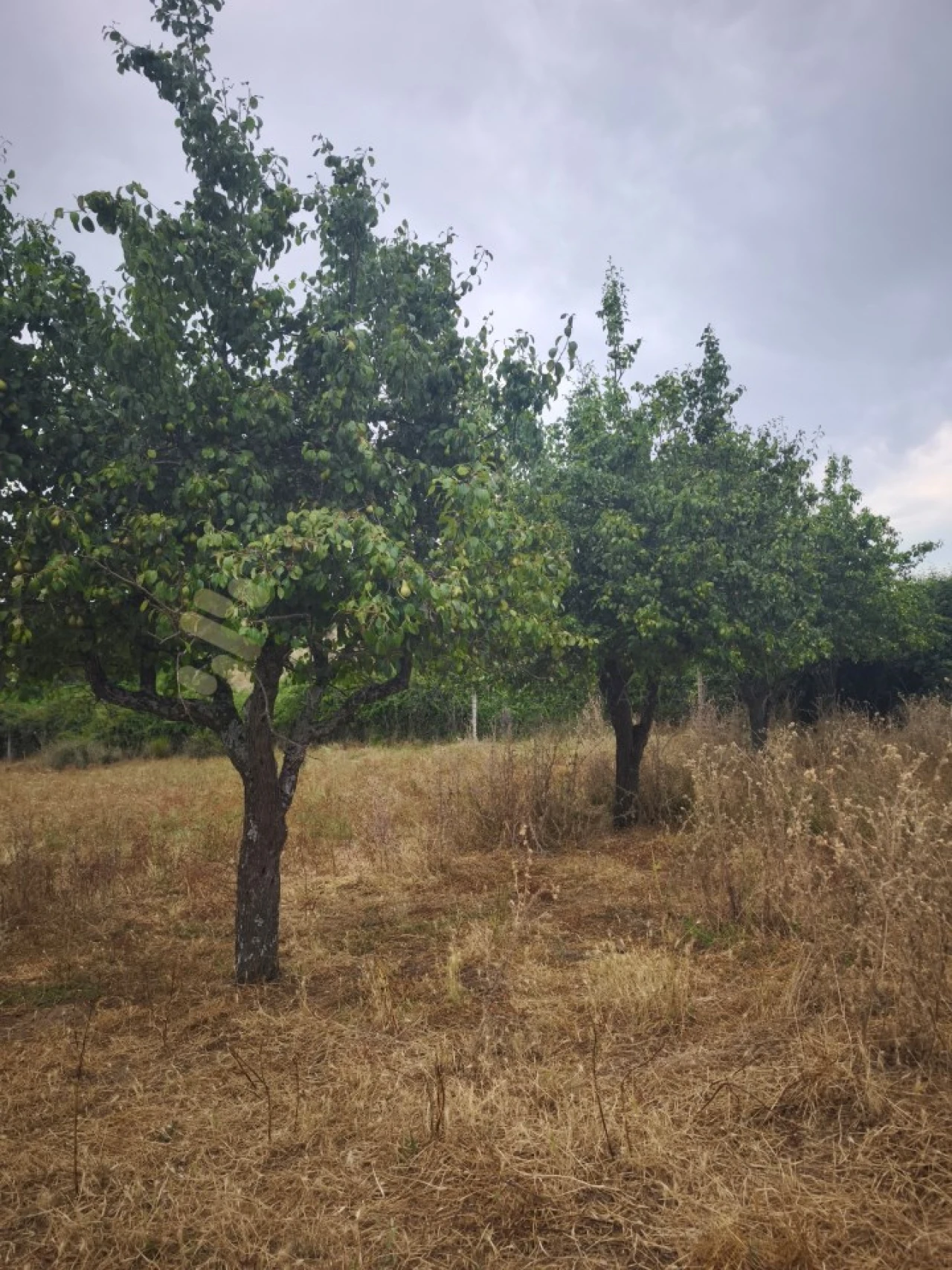 Quinta T6 para Venda em São Pedro de Agostem Foto 28