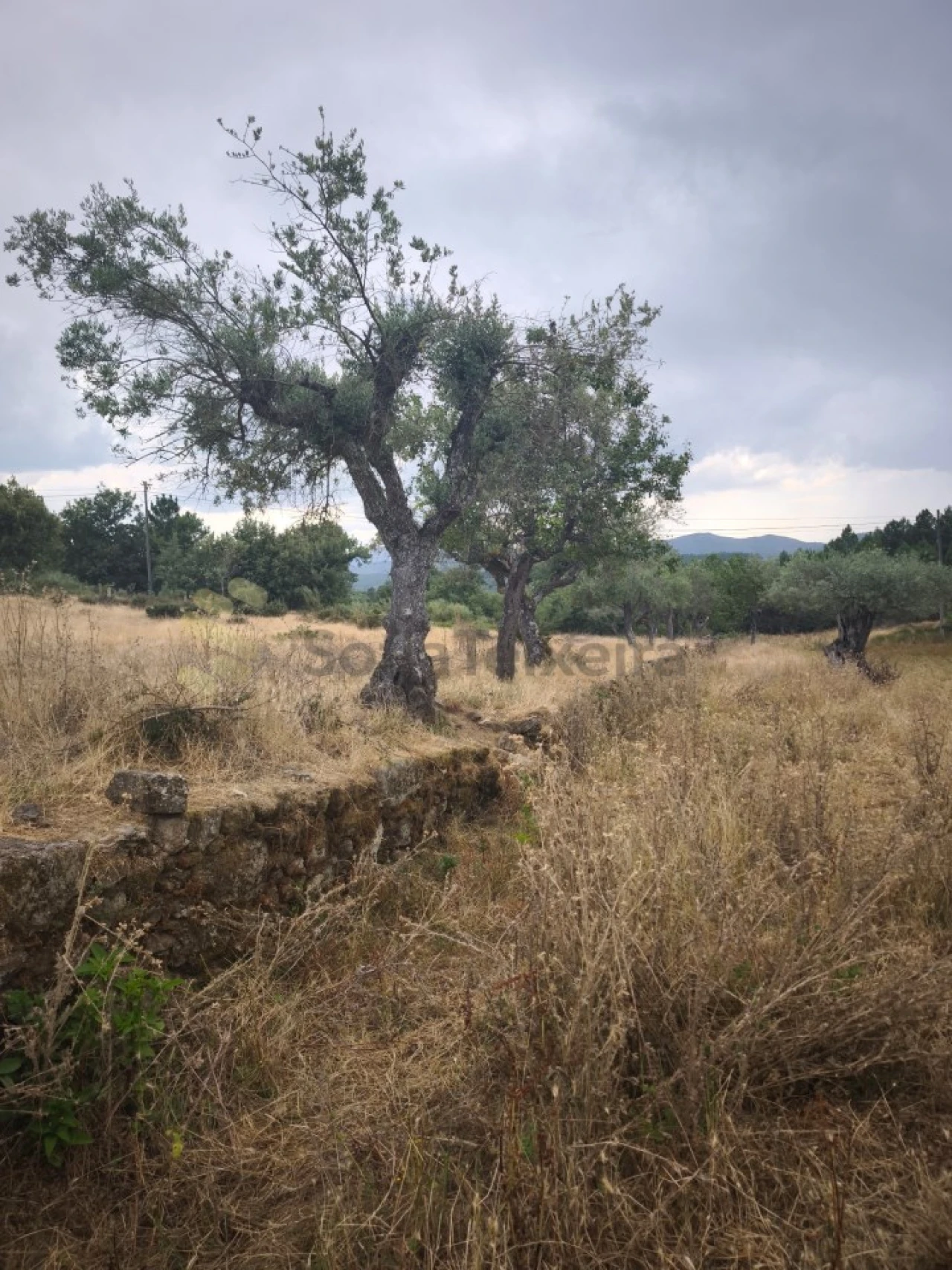 Quinta T6 para Venda em São Pedro de Agostem Foto 31
