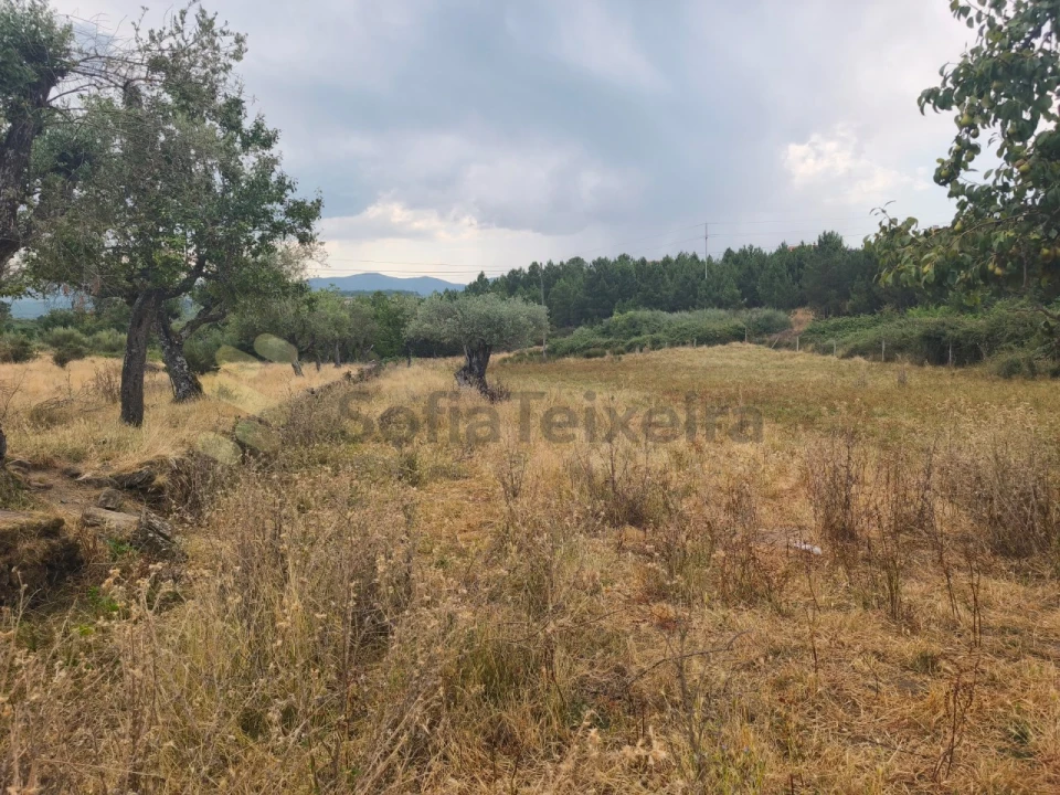 Quinta T6 para Venda em São Pedro de Agostem Foto 35