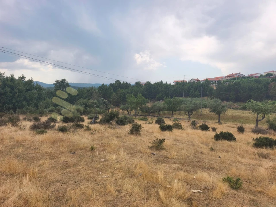 Quinta T6 para Venda em São Pedro de Agostem Foto 36