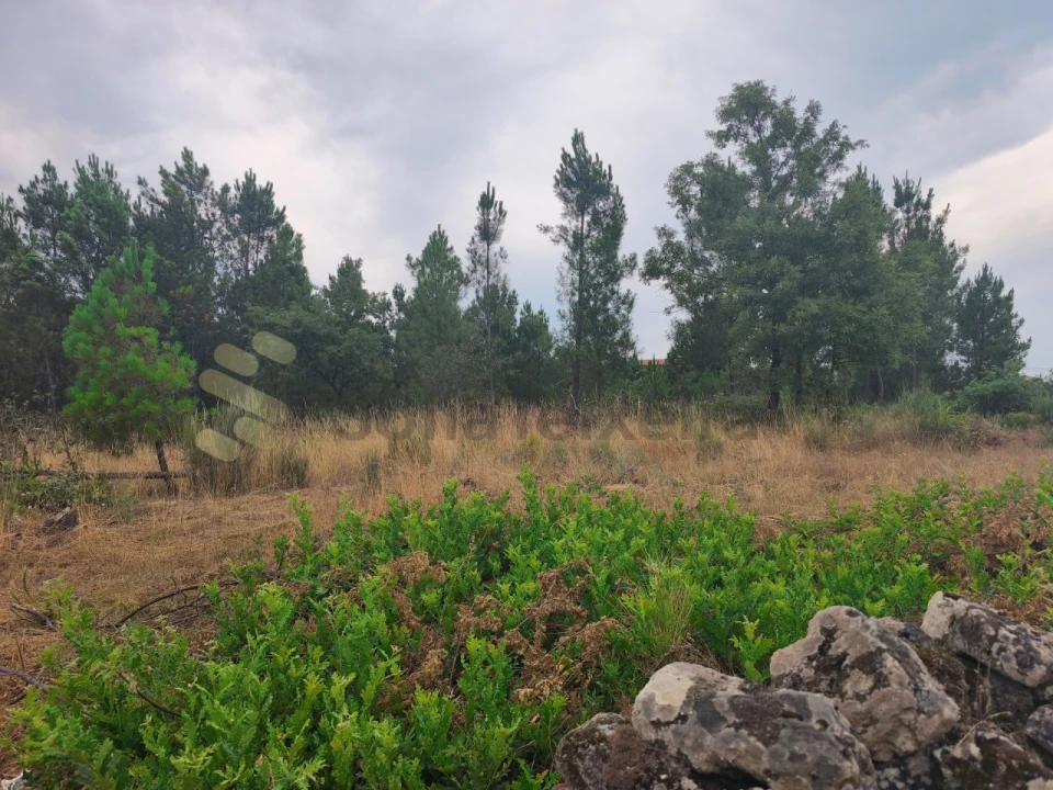 Quinta T6 para Venda em São Pedro de Agostem Foto 37