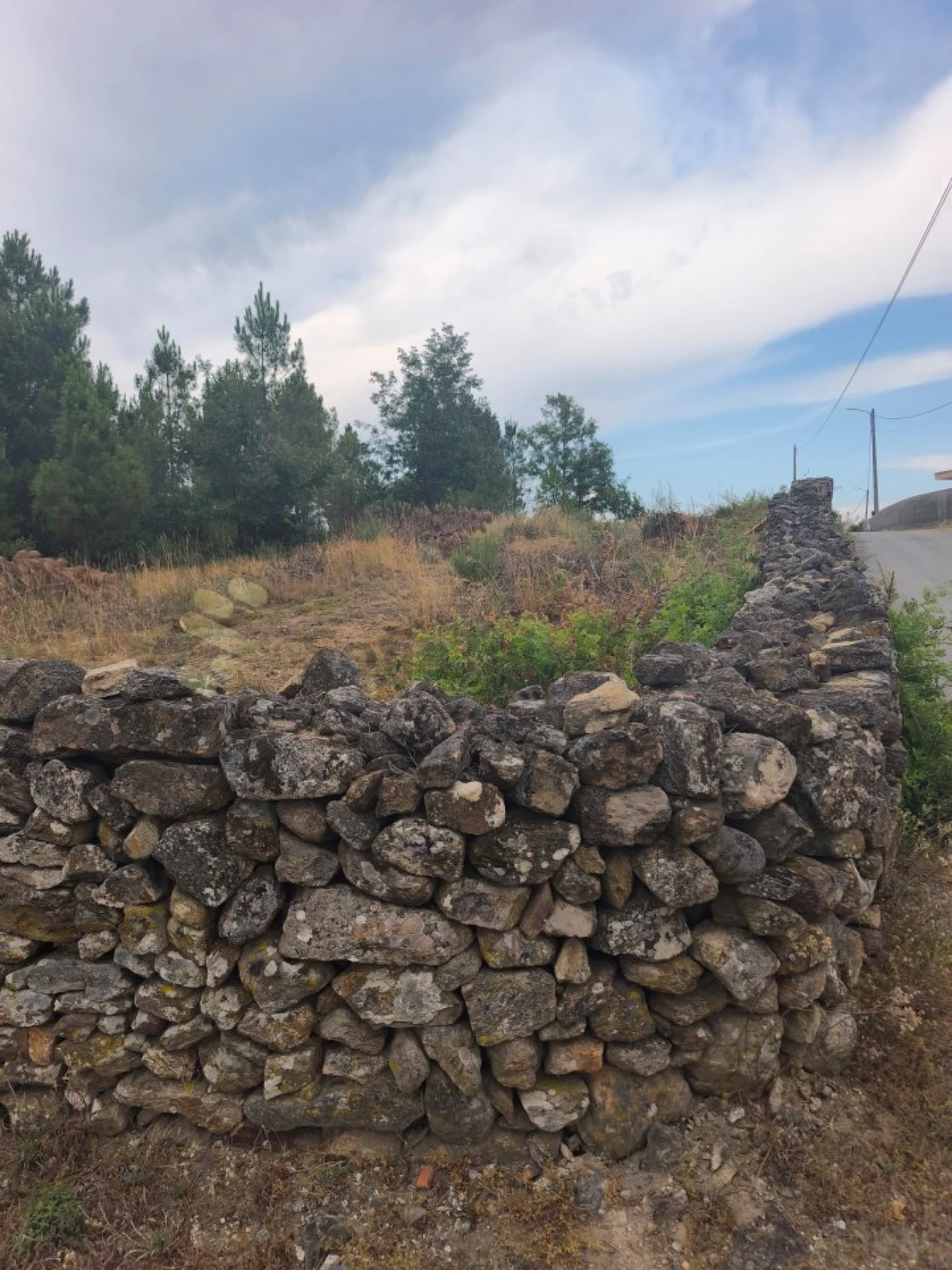 Quinta T6 para Venda em São Pedro de Agostem Foto 39