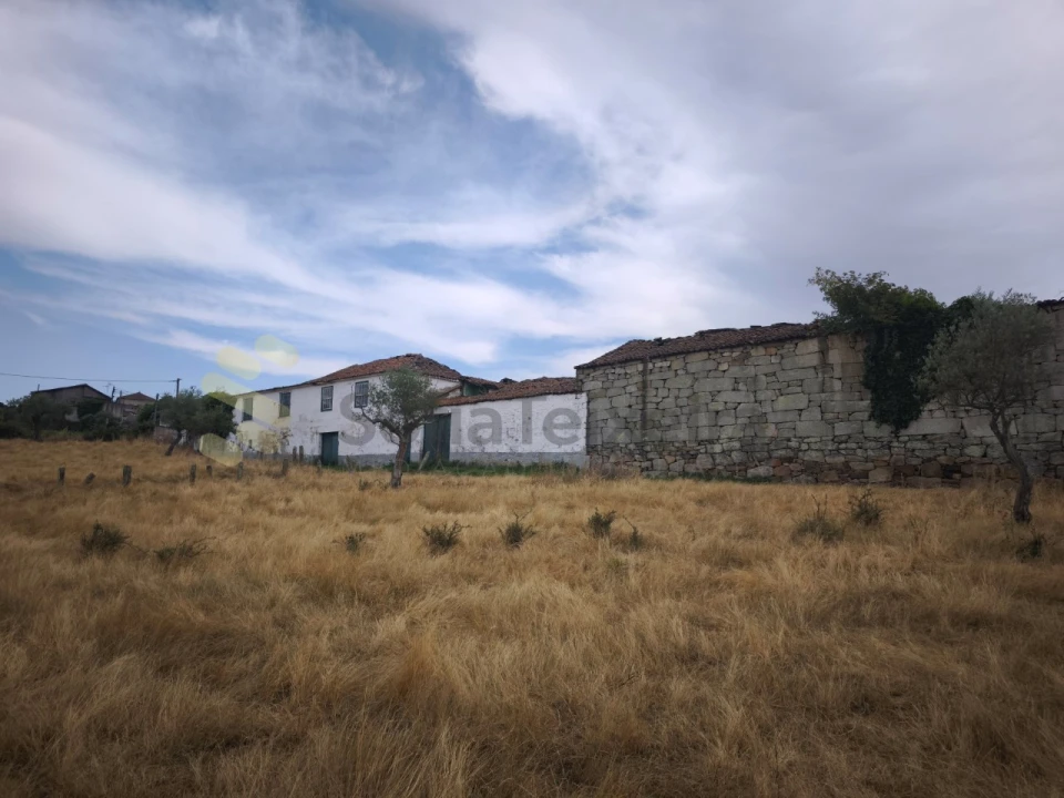 Quinta T6 para Venda em São Pedro de Agostem Foto 34