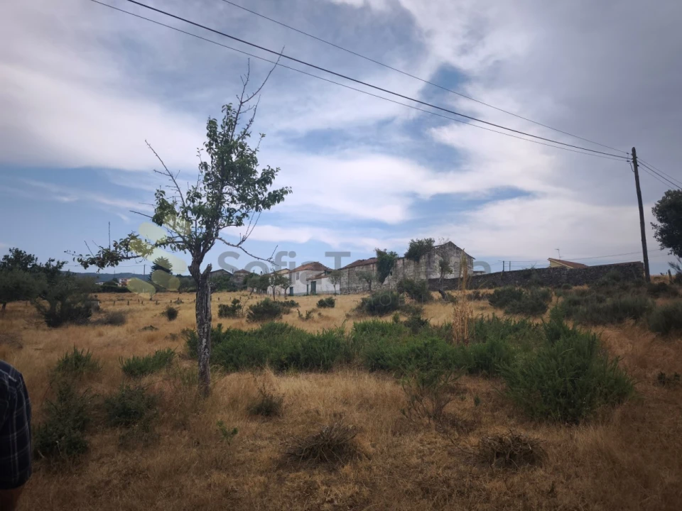 Quinta T6 para Venda em São Pedro de Agostem Foto 40