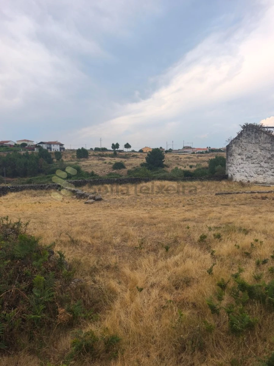 Quinta T6 para Venda em São Pedro de Agostem Foto 21