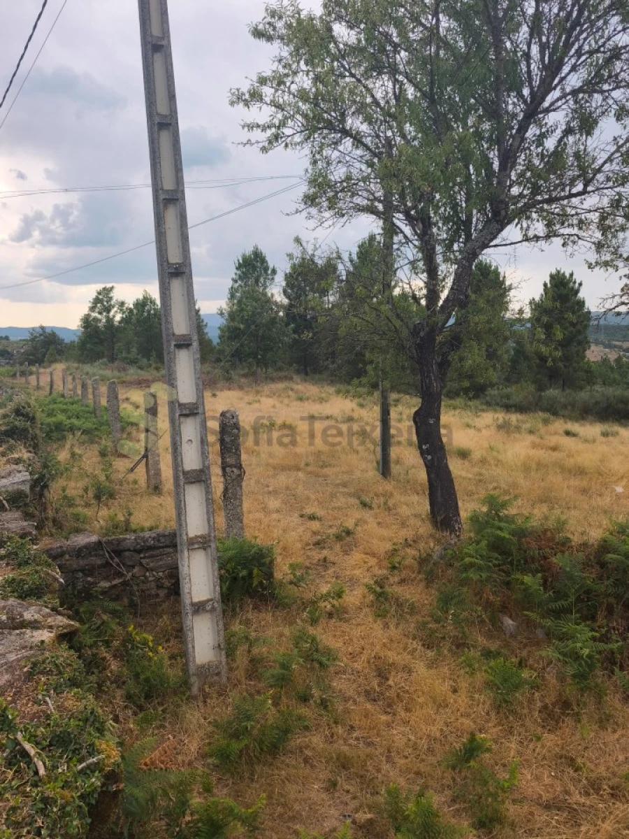 Quinta T6 para Venda em São Pedro de Agostem Foto 23