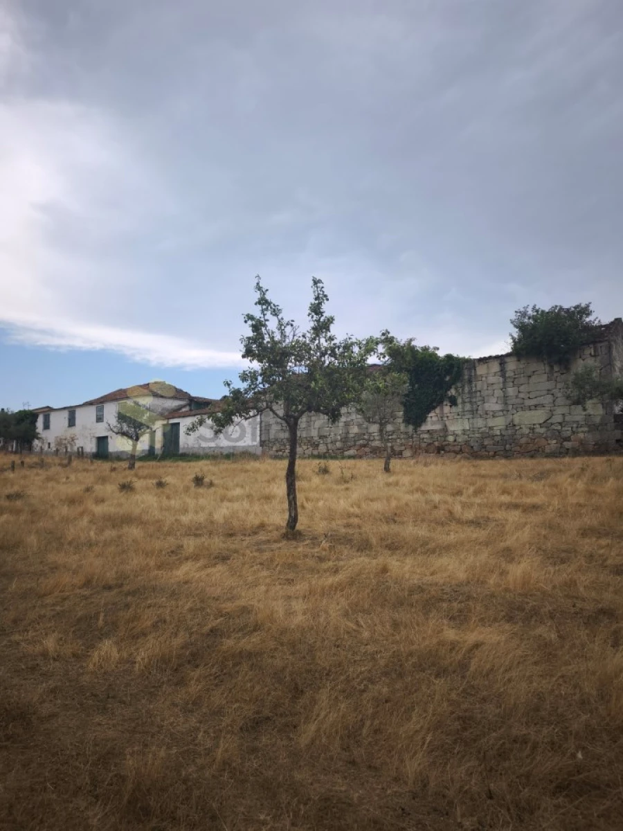 Quinta T6 para Venda em São Pedro de Agostem Foto 25