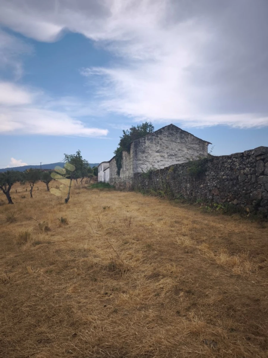 Quinta T6 para Venda em São Pedro de Agostem Foto 26