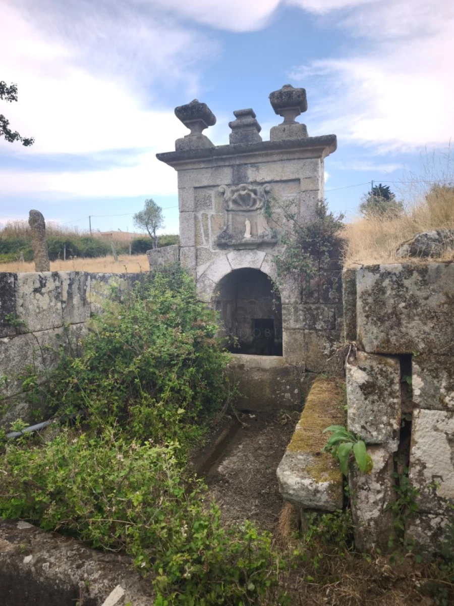Quinta T6 para Venda em São Pedro de Agostem Foto 3
