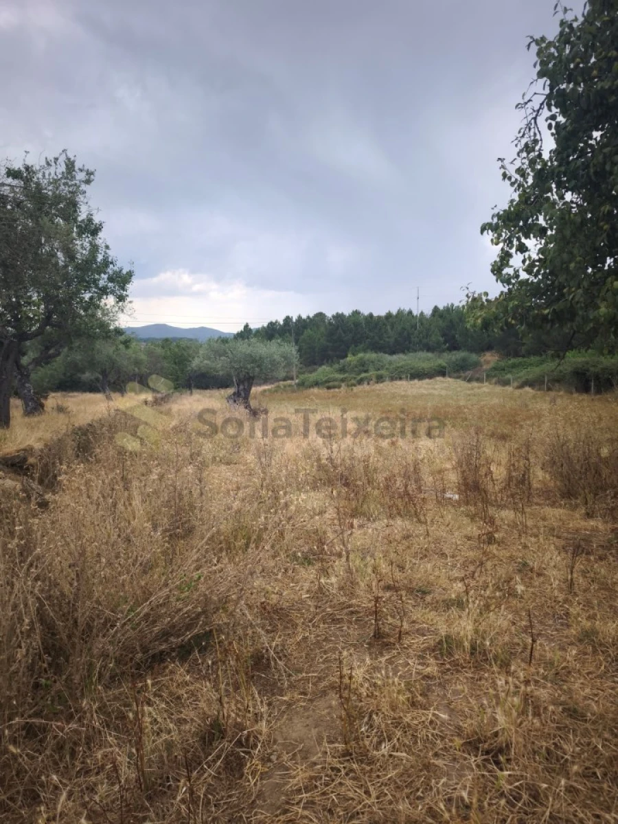 Quinta T6 para Venda em São Pedro de Agostem Foto 29