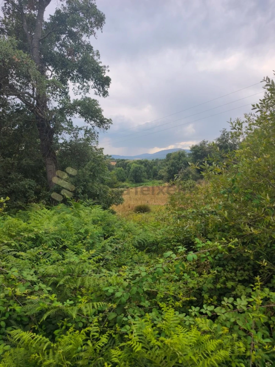 Quinta T6 para Venda em São Pedro de Agostem Foto 38