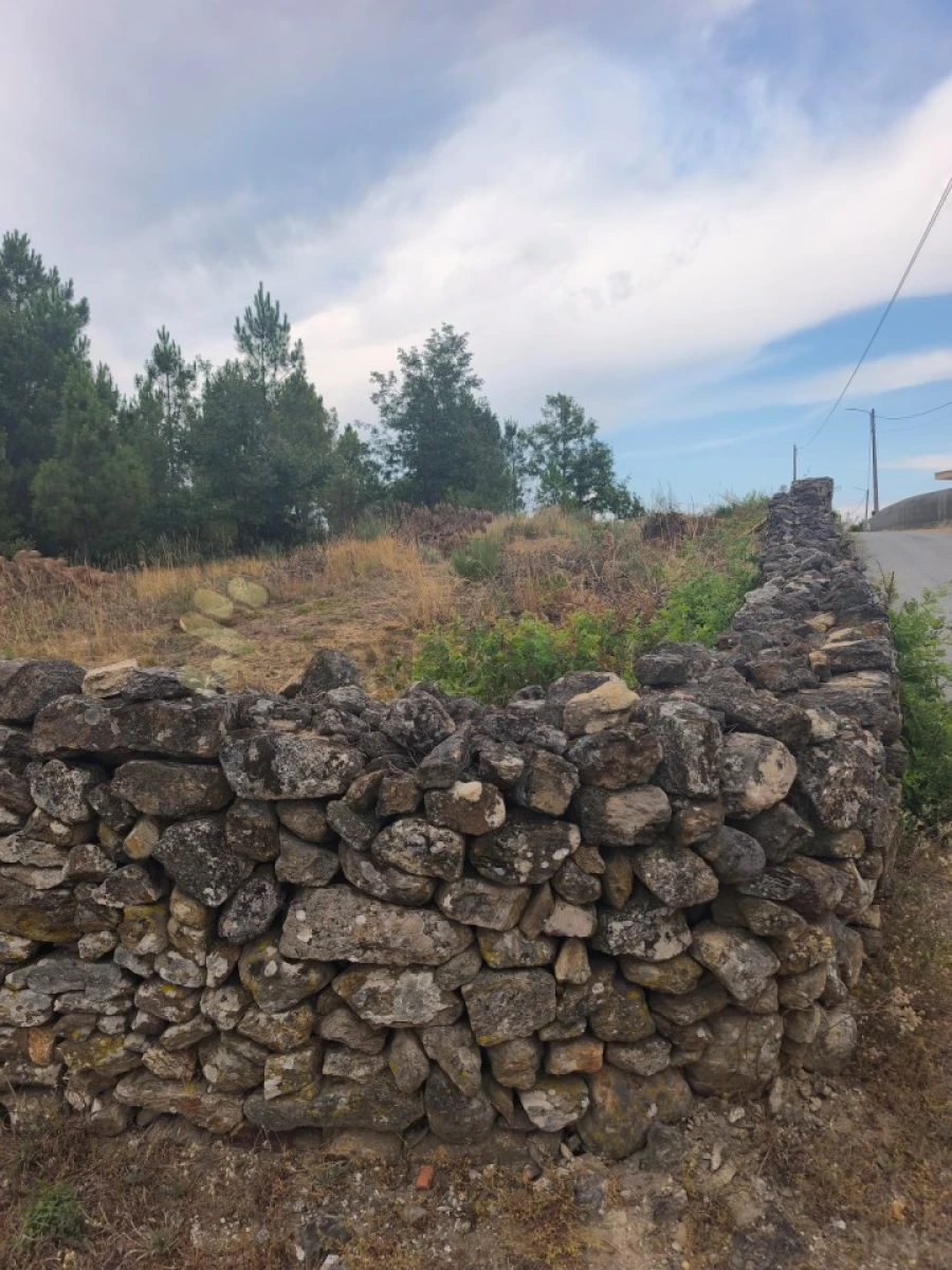 Quinta T6 para Venda em São Pedro de Agostem Foto 39