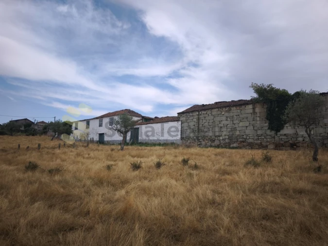 Quinta T6 para Venda em São Pedro de Agostem Foto 34
