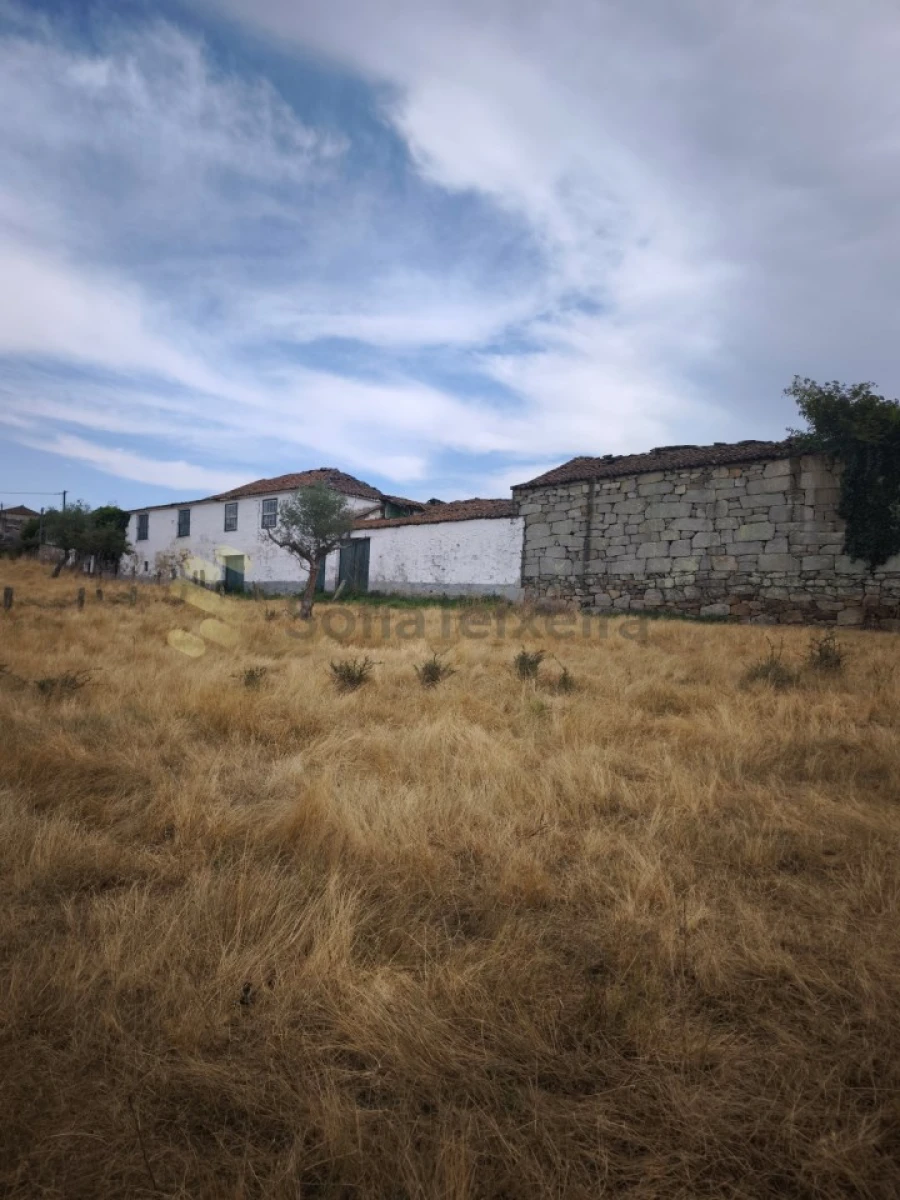 Quinta T6 para Venda em São Pedro de Agostem Foto 41