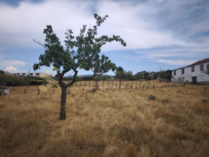 Quinta T6 para Venda em São Pedro de Agostem Foto 42