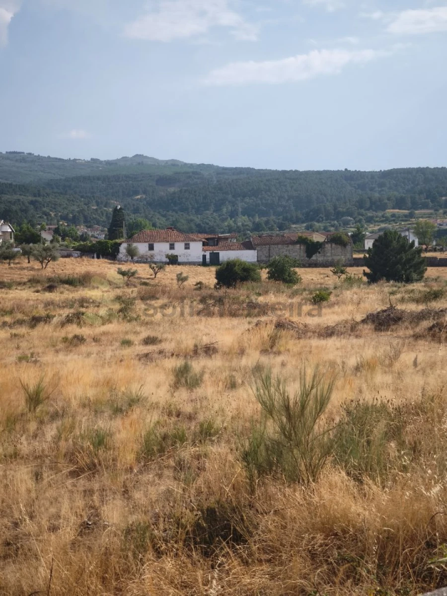 Quinta T6 para Venda em São Pedro de Agostem Foto 43