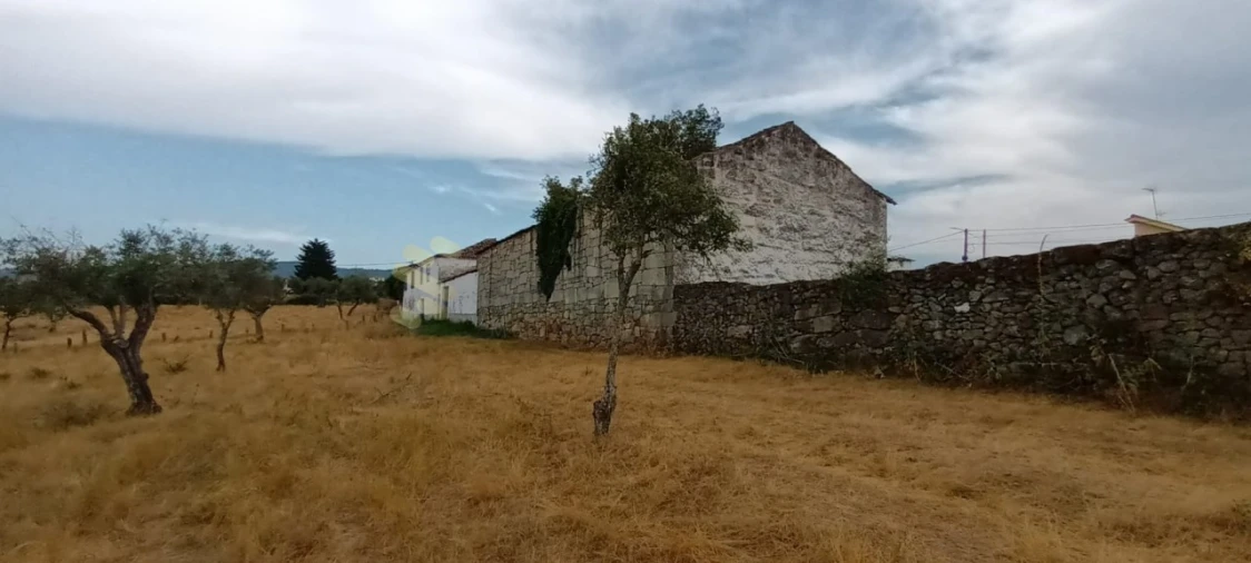 Quinta T6 para Venda em São Pedro de Agostem Foto 44