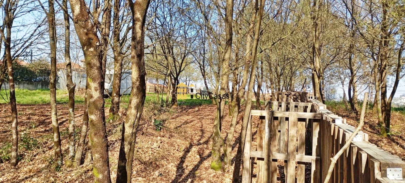 Terreno para Venda em Lodares Foto 5