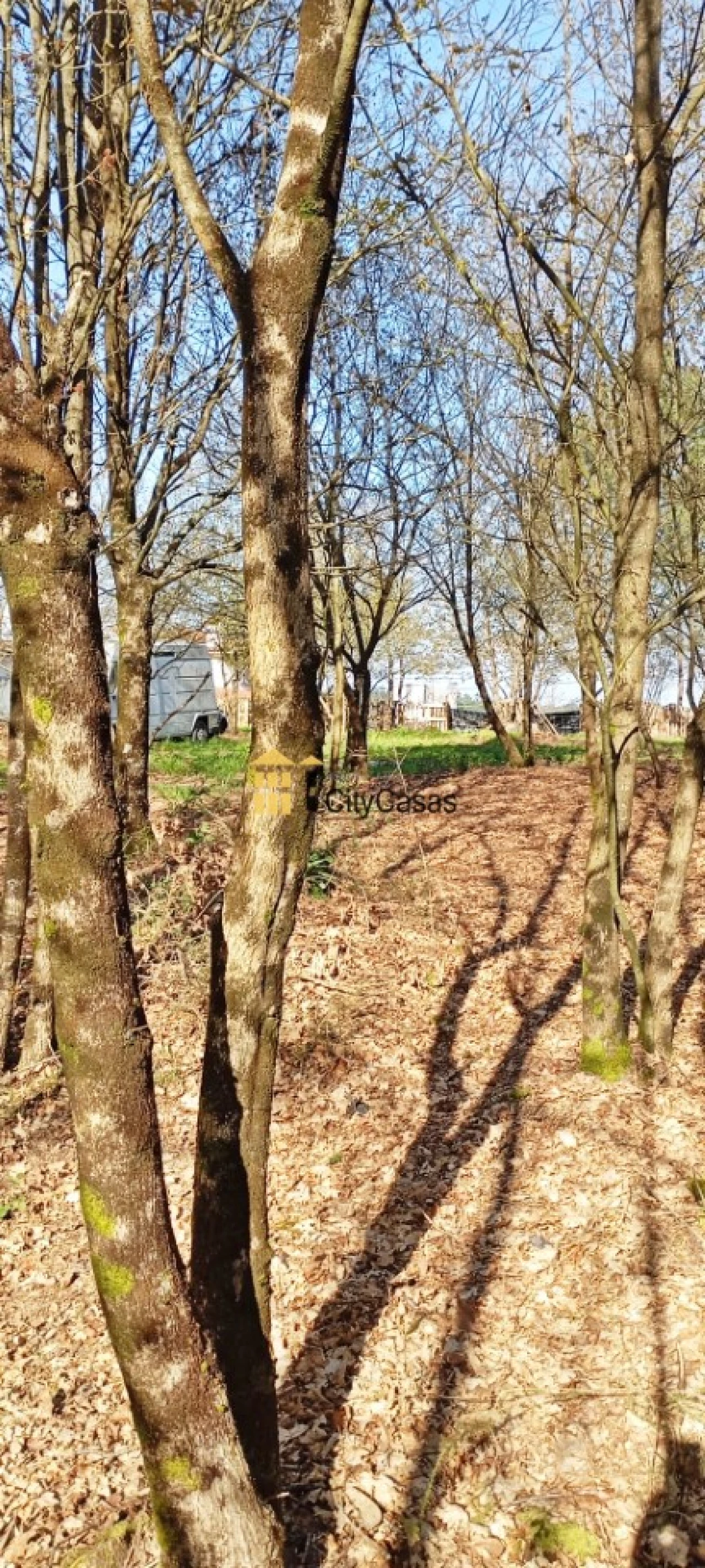 Terreno para Venda em Lodares Foto 7