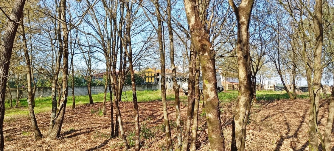 Terreno para Venda em Lodares Foto 3