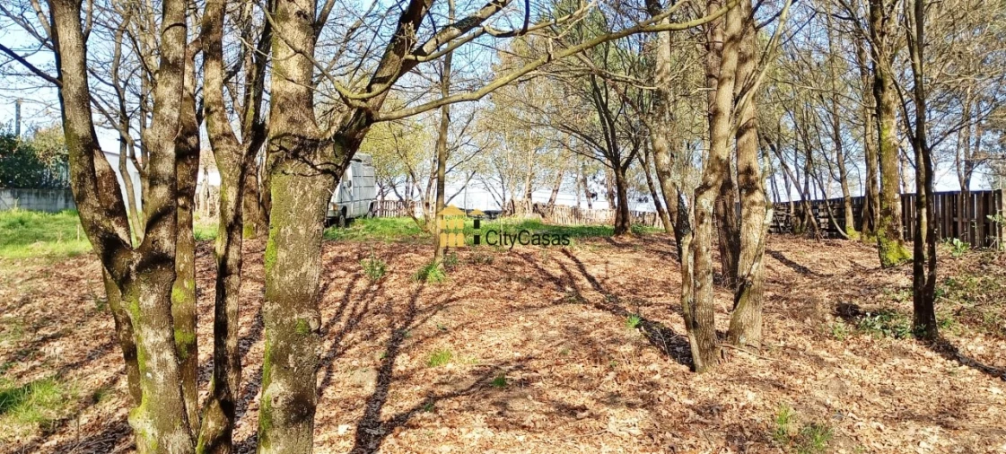 Terreno para Venda em Lodares Foto 4