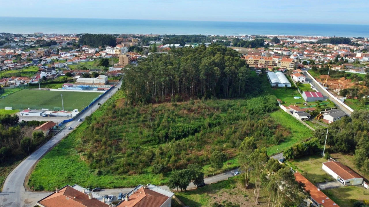 Terreno para Venda em São Felix da Marinha Foto 3