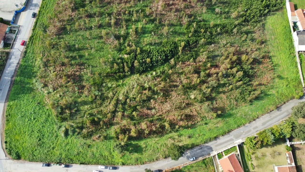Terreno para Venda em São Felix da Marinha Foto 5