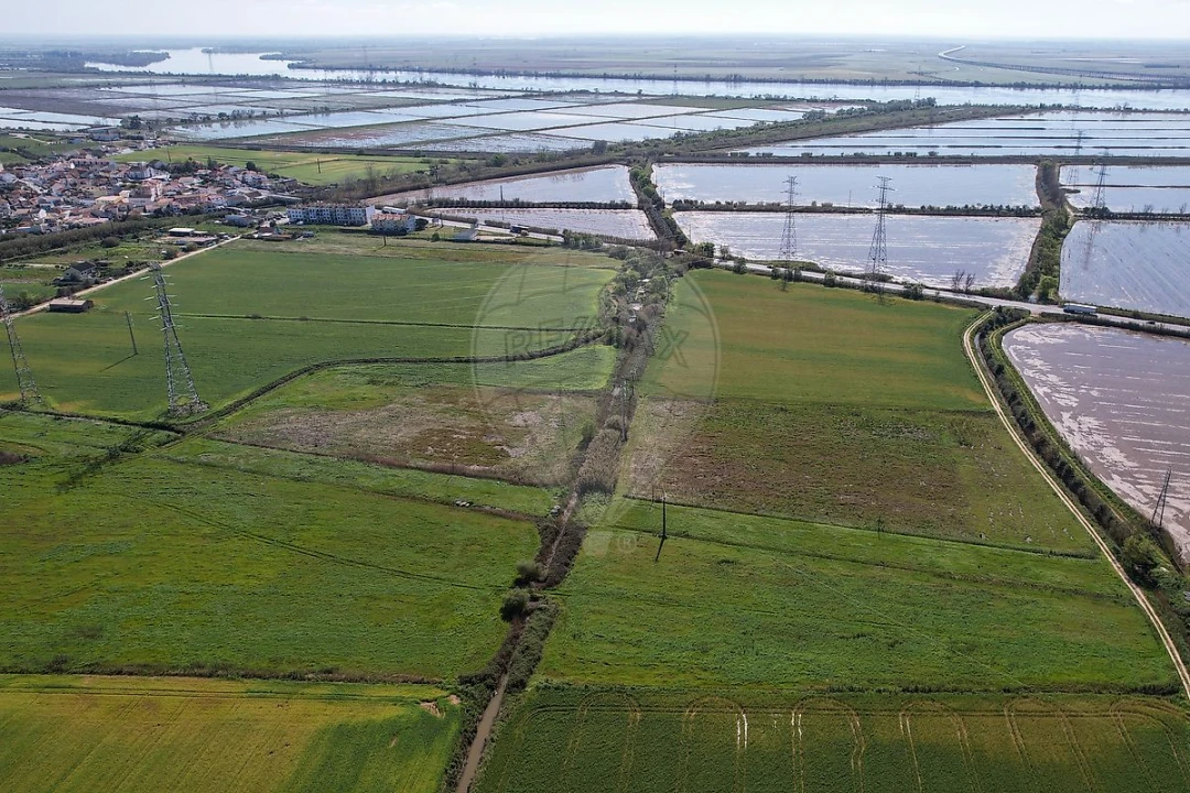 Terreno para Venda em Vila Nova da Rainha Foto 5
