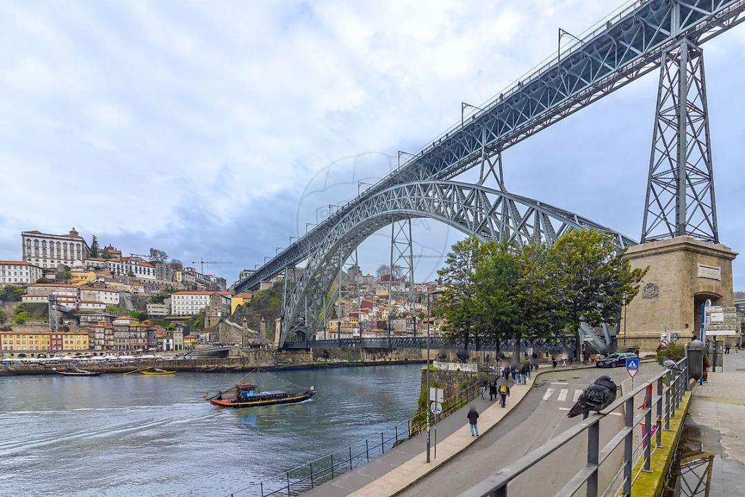 Prédio para Venda em Santa Marinha e São Pedro da Afurada Foto 6