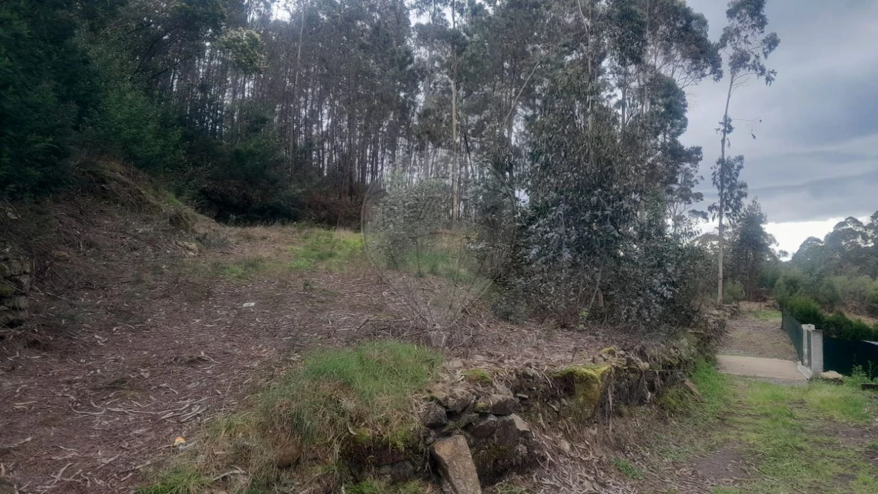 Terreno para Venda em Fermedo Foto 4