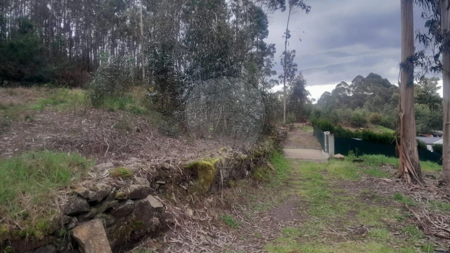 Terreno para Venda em Fermedo Foto 2