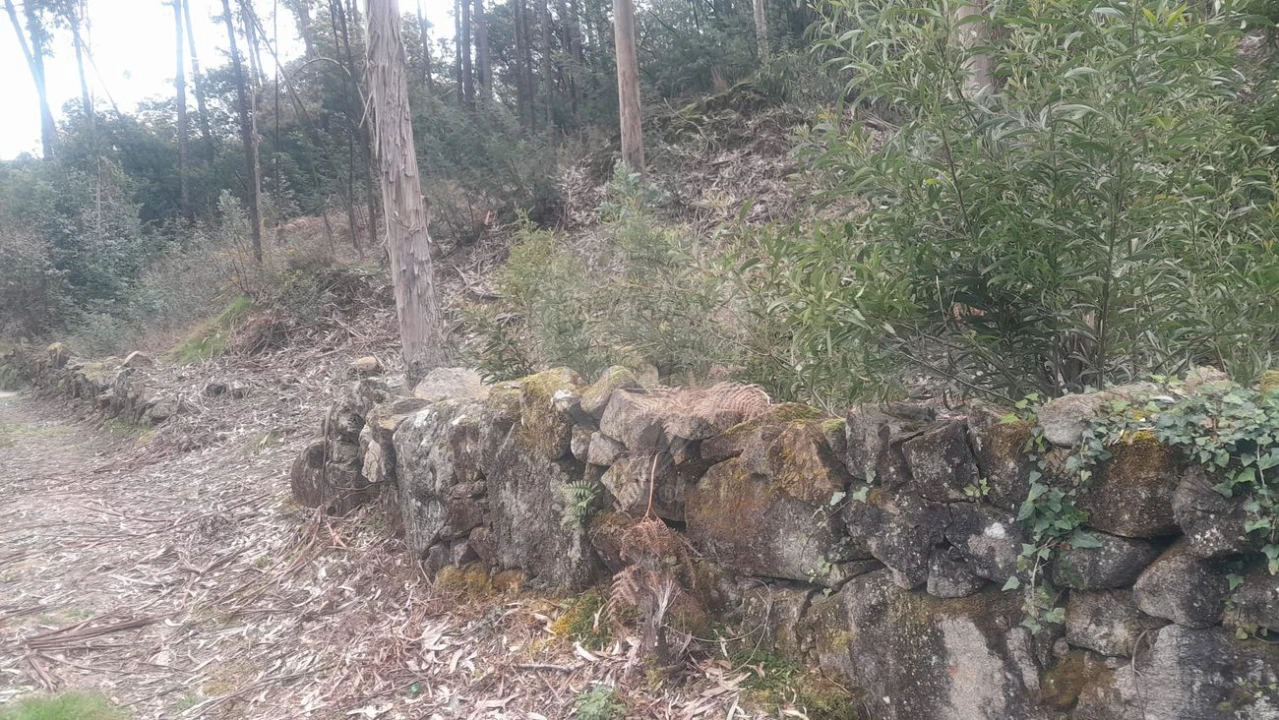 Terreno para Venda em Fermedo Foto 6