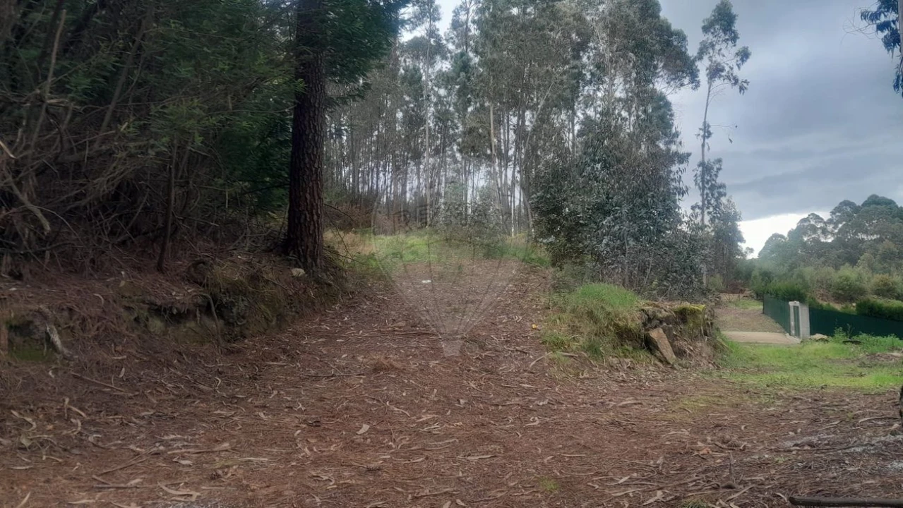 Terreno para Venda em Fermedo Foto 1