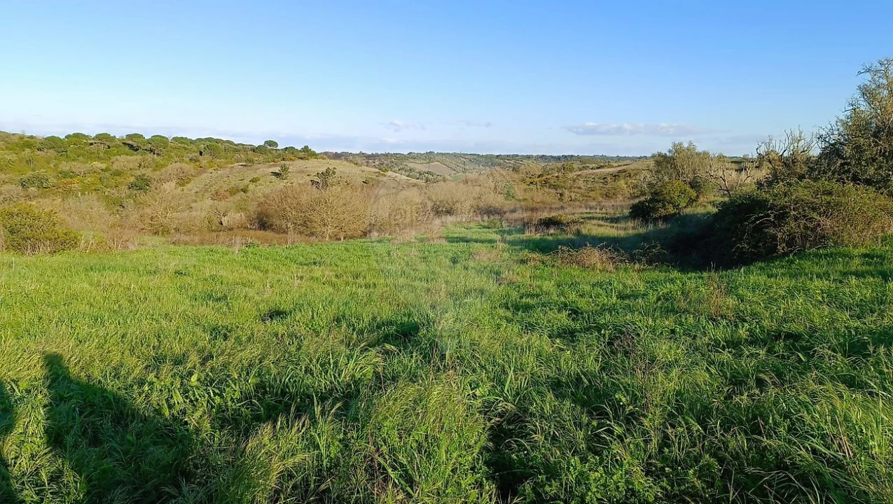 Terreno para Venda em Manique do Intendente, Vila Nova de São Pedro e Maçussa Foto 2