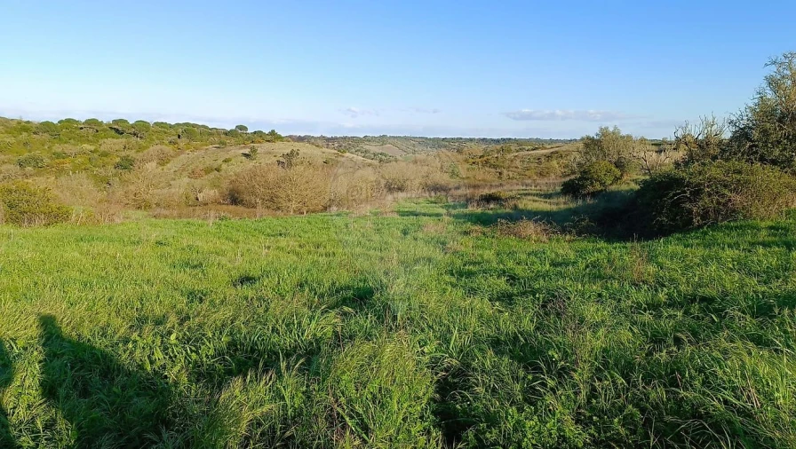 Terreno para Venda em Manique do Intendente, Vila Nova de São Pedro e Maçussa Foto 2