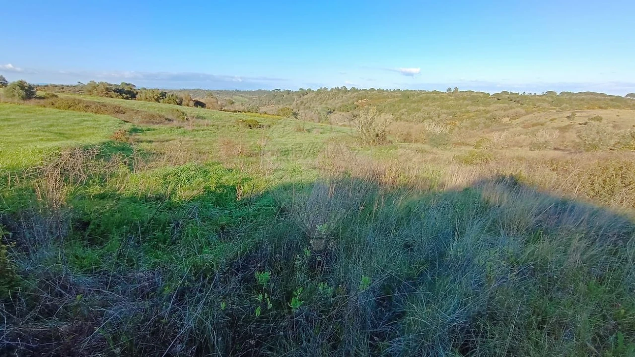 Terreno para Venda em Manique do Intendente, Vila Nova de São Pedro e Maçussa Foto 3