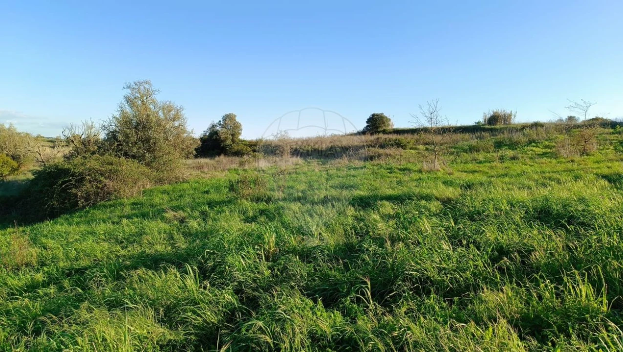 Terreno para Venda em Manique do Intendente, Vila Nova de São Pedro e Maçussa Foto 4