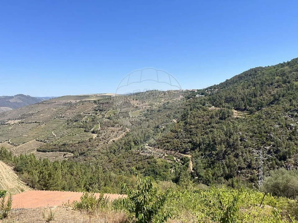 Terreno para Venda em Vila Seca e Santo Adrião Foto 3