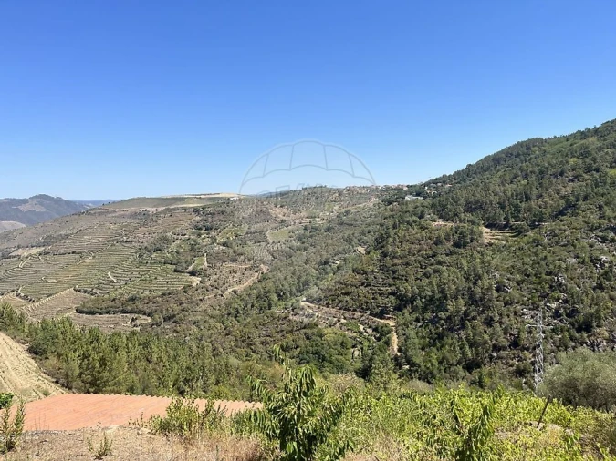 Terreno para Venda em Vila Seca e Santo Adrião Foto 3
