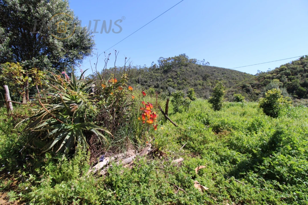 Quinta T4 para Venda em Marmelete Foto 17