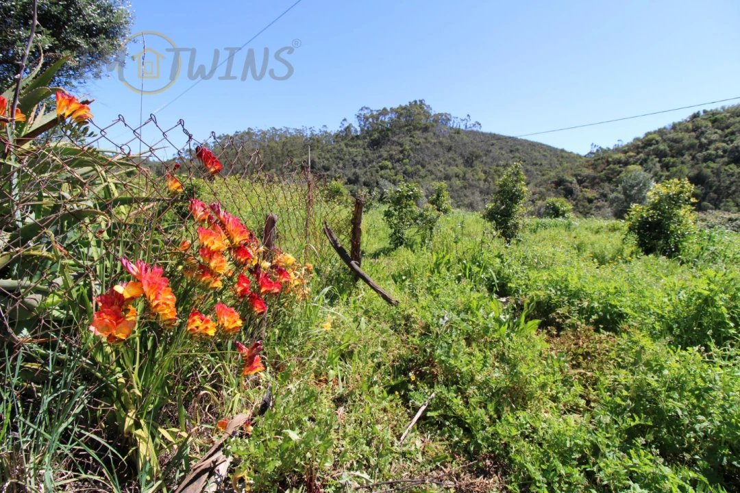 Quinta T4 para Venda em Marmelete Foto 18