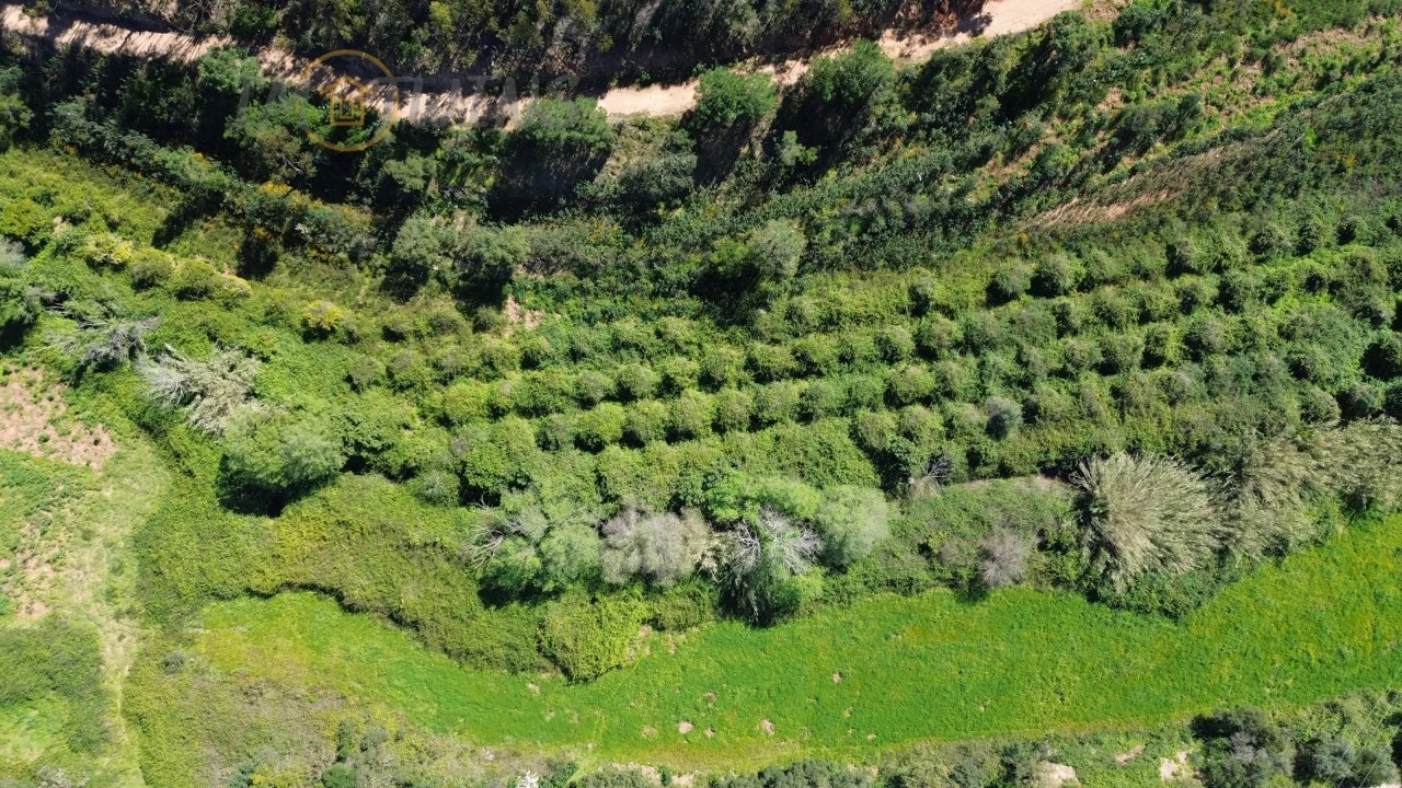 Quinta T4 para Venda em Marmelete Foto 26