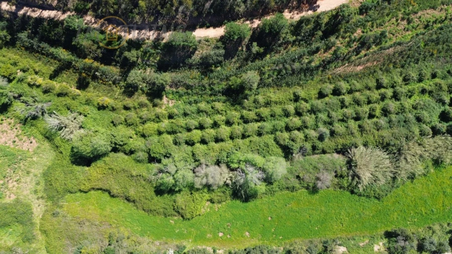 Quinta T4 para Venda em Marmelete Foto 26