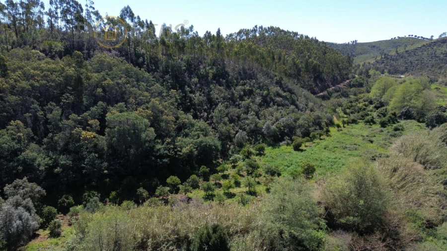 Quinta T4 para Venda em Marmelete Foto 28